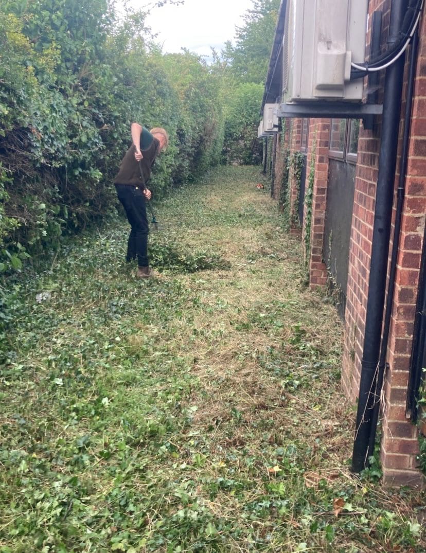 Side garden cleared after